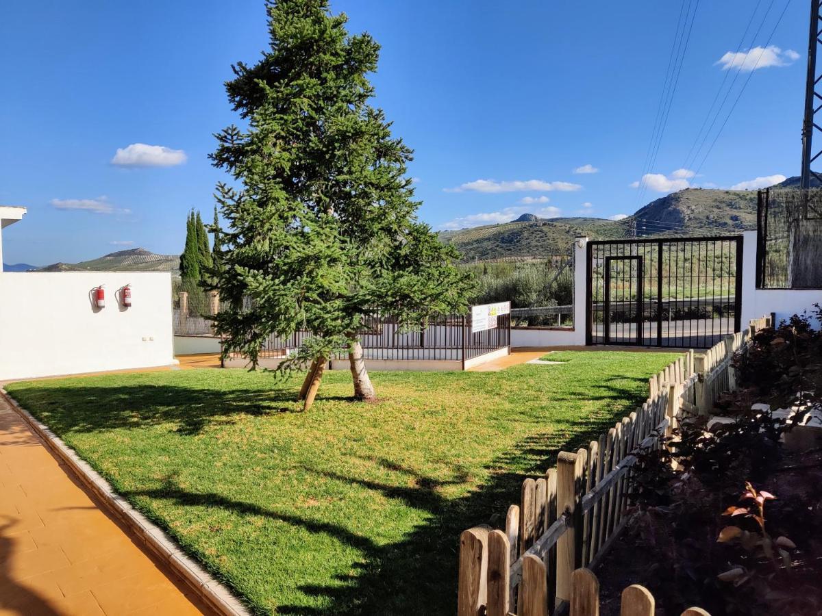 Apartamento Rural Villa Aurora Luque Dış mekan fotoğraf