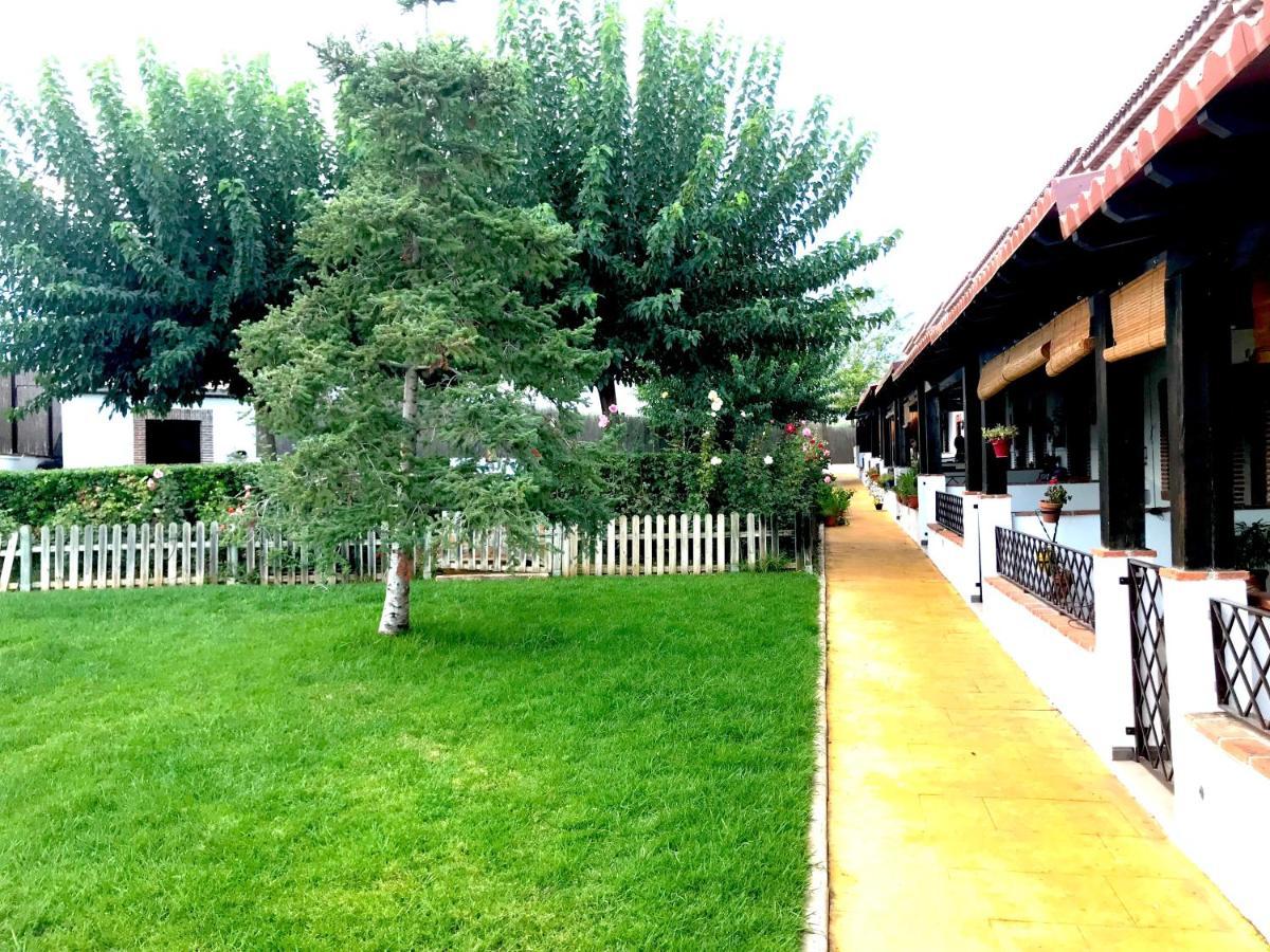 Apartamento Rural Villa Aurora Luque Dış mekan fotoğraf
